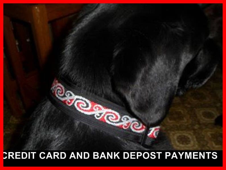 New Zealand Made Dog Collar Etsy