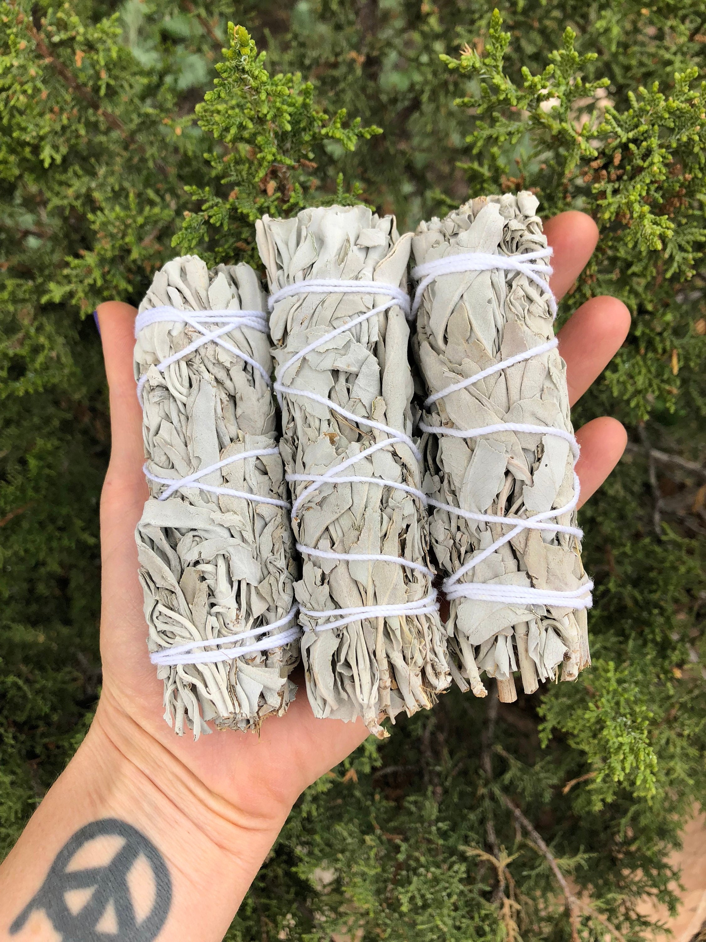 White Sage Incense Cleansing Ritual Altar Bundle Clearing 1 2 Etsy