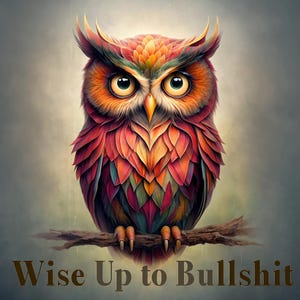 May include: A colorful owl illustration with vibrant red, orange, and green feathers, perched on a branch. The owl has large, expressive eyes and a yellow beak. The text "Wise Up to Bullshit" is at the bottom.
