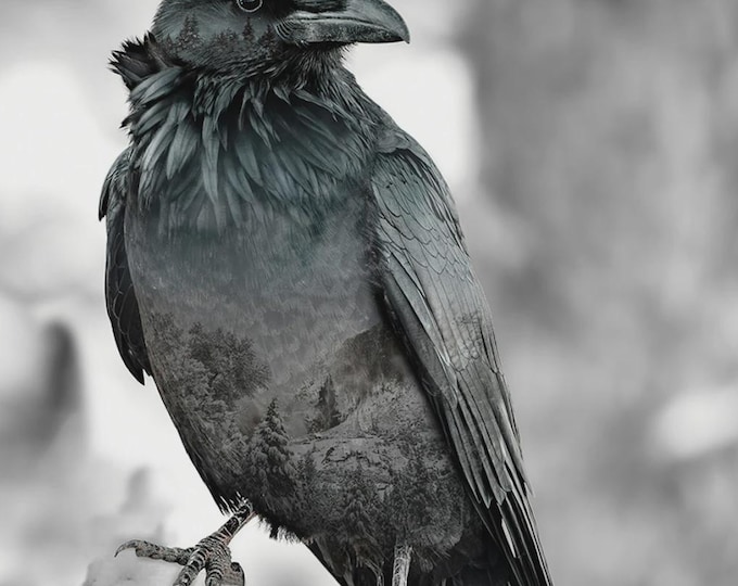 Featured listing image: Raven Panel 5420 73 - Call of the Wild - Hoffman Fabrics - Digital Print Fabric  - Priced by the Panel (33" x 42" ) Vertical