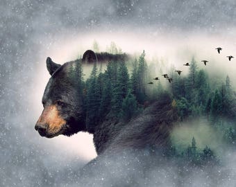 Bear - Call of the Wild - Wildlife Forest -  Hoffman Fabrics - P4356H-44 - Digital Print Fabric  - Priced by the 27-Inch Panel