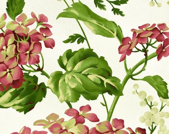 Lexington Floral Hydrangea & Berries  Maywood Studio MAS 9850-E Cream - Priced by the half yard