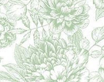 Blush Leaf Floral Outline - 25622 72 Pale Green -  Michael Design Works for Northcott Fabric - Priced by the Half Yard