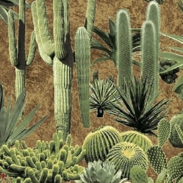 Cactus Fabric - Desert Cacti - Adobe Whistler Studios for Windham  50534 2 Tan - end of bolt - end of bolt 35 inches