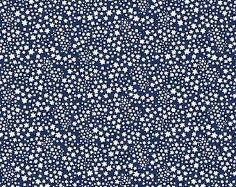 Copacetic Starflower Fabric - C14685 MIDNIGHT Blue - Julia Frazier  for Riley Blake Fabrics - Priced by the half yard