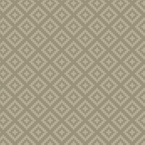 Nationalparks Diamond Hatch - C15099 Khaki koordinierender Stoff - Riley Blake Fabrics - Von Anderson Design Group - Preis pro halber Meter