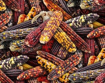 Native American Multi-Color Corn Cobs 595 - Elizabeth's Studio - Priced by the half yard