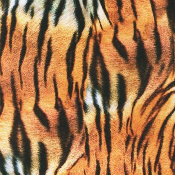 Buy Animal Fabric Tiger Skin Print Animal Kingdom Collection Online in India - Etsy Buy Animal Fabric Tiger Skin Print Animal Kingdom Collection Online in India - Etsy