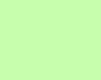 Paintbrush Studio Painters Palette Solid Cottons 121 094 Agave Green - Priced by the half yard