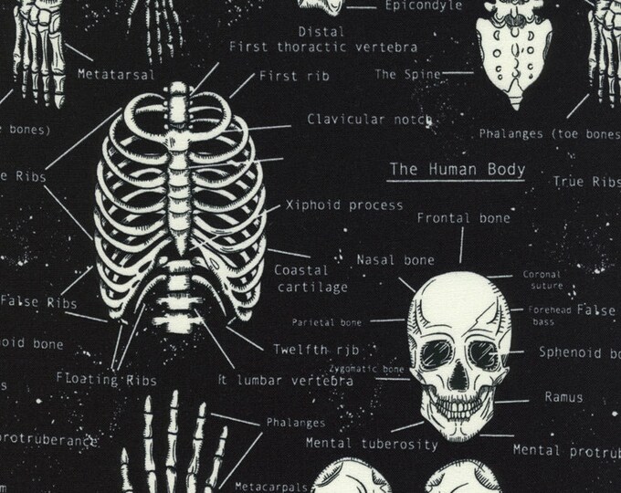 Featured listing image: Gothic Halloween Fabric, Skeleton Fabric, Halloween Collection for Timeless Treasures CG9810 Glow in the Dark Black - Priced by the 1/2 yard