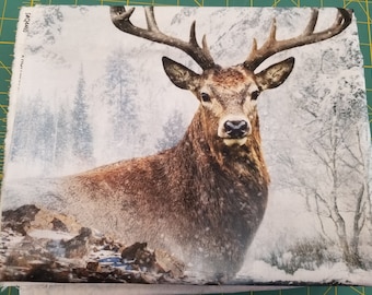 Stag Reflections Quilt Kit - Hoffman Call of the Wild - Quilt Kit - Fabric & Pattern - Finishes 60"x78" - DIY Project