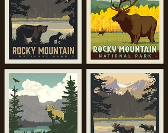 Rocky Mountain National Parks Fabric Poster - Anderson Design Group for Riley Blake PP 8935 - 4-Patch Block 36-Inch Panel