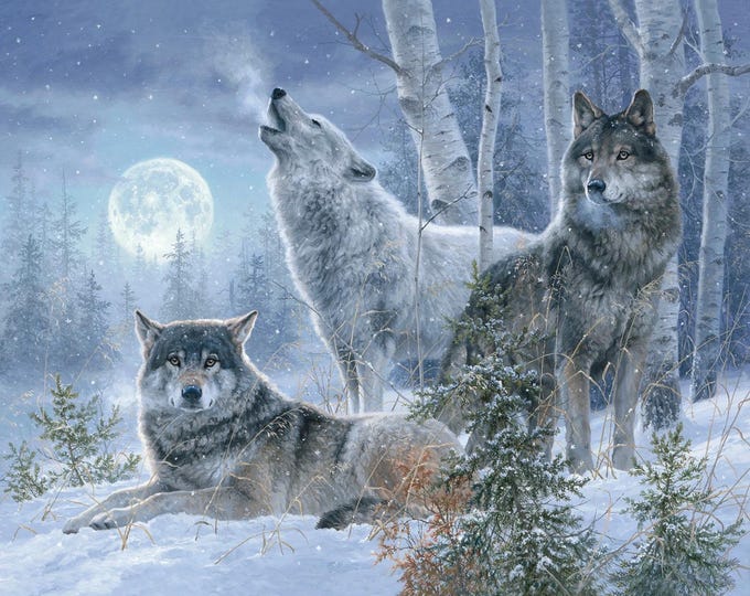 Featured listing image: Wolf Trio - Under the Moonlight by Abraham Hunter for 3 Wishes Fabric  - 23770 - Priced by the 36-Inch Panel