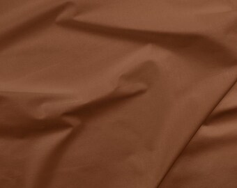 Painters Palette  121 169 Canyon Brown - Paintbrush Studio Solid Cottons - Priced by the half yard
