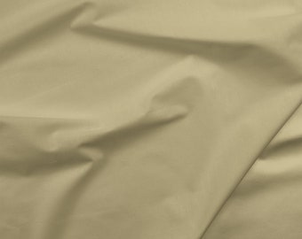 PBS Fabric Solids/Prints