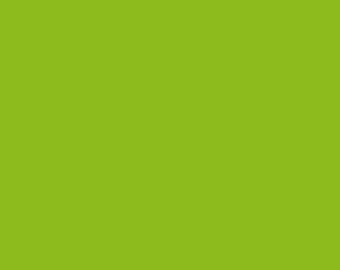 Paintbrush Studio Painters Palette Solid Cottons 121 076 Apple Green - Priced by the half yard