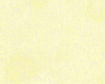 Fairy Frost Ivory Fabric - Glimmer Fabric - CM 0376 IVORY Creamy -  Michael Miller - Priced by the 1/2 Yard