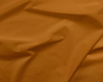 Painters Palette 121 171 Gingery Brown - Paintbrush Studio Solid Cottons - Priced by the half yard