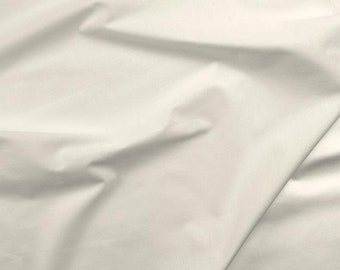 Painters Palette 121 121 Linen White -Paintbrush Studio - Priced by Solid Cottons  - Priced by the half yard