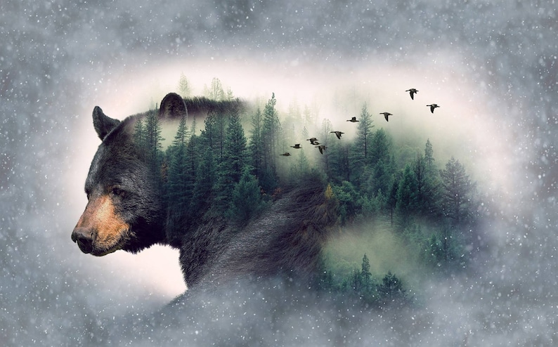 May include: A black bear silhouette with a forest scene overlayed on its body. The bear is facing left and the forest scene is filled with green trees and a foggy background. A flock of birds flies across the top of the image.