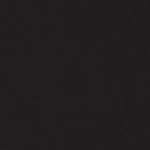 May include: A solid, uniform, and opaque black square background. The surface displays a consistent, deep charcoal-black color throughout the entire frame with no visible patterns, textures, objects, or variations in light or shadow present.