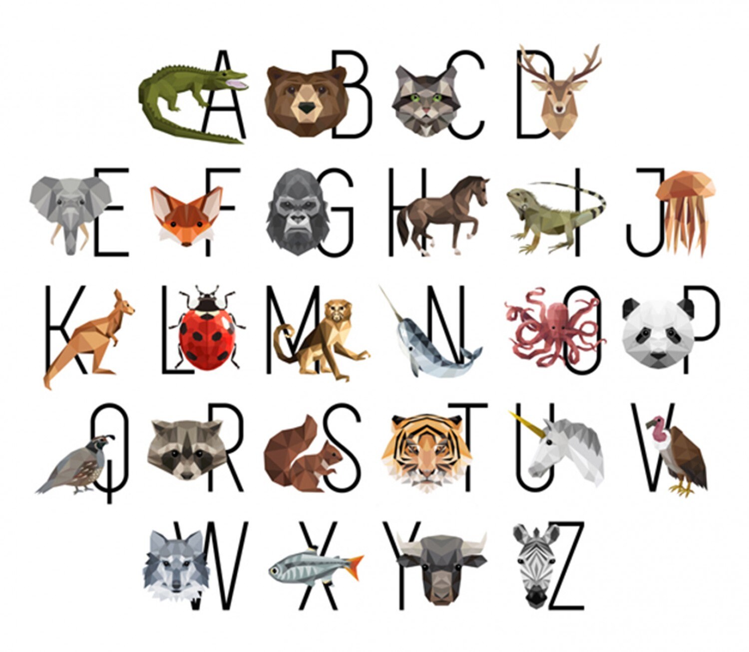 Животные по алфавиту с картинками
