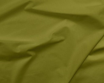 Painters Palette 121 162 Guacamole Green - Paintbrush Studio Solid Cottons - Priced by the half yard