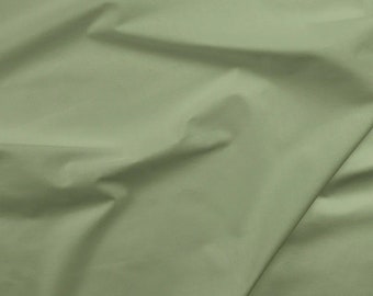 Painters Palette 121 191 Eucalyptus Gray-Green - Paintbrush Studio Solid Cottons  - Priced by the half yard