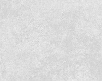 Shadow Play MAS513 K7 Light Gray - Solid Fabric - Gray Tonal Cotton Fabric - by Maywood Studios - Priced by the 1/2 yard