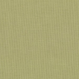 Bella Solid Sage Green 9900 35 - Moda Basics Fabrics - Preis pro 1/2 Meter
