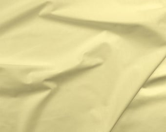 Painters Palette 121 063 Citrus - Pale Yellow - Paintbrush Studio Solid Cottons  Priced by the half yard