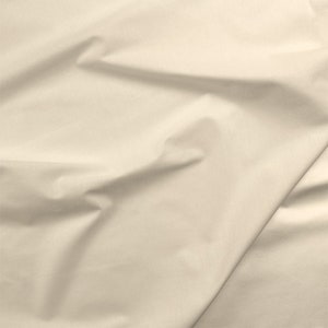 Painters Palette Oyster Off White 121 122 - Solid  Paintbrush Studio Fabric - Priced by the half yard