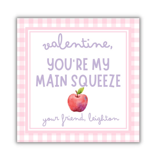 Printable Valentines Day Card for Kids Valentine Tags, You're My Main Squeeze, Apple Sauce Pouch, Favor Tag, Classroom Treats pink gingham