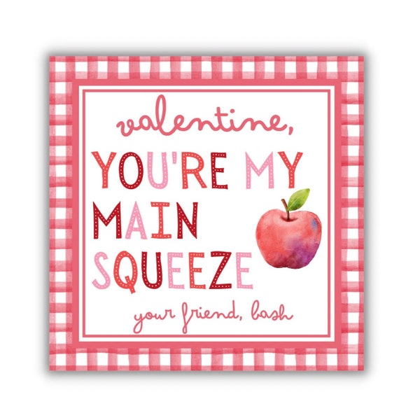 Printable Valentines Day Card for Kids, Valentine Tags, You're My Main Squeeze, Apple Sauce Pouch, Red, Favor Tag, Classroom Treats, gingham