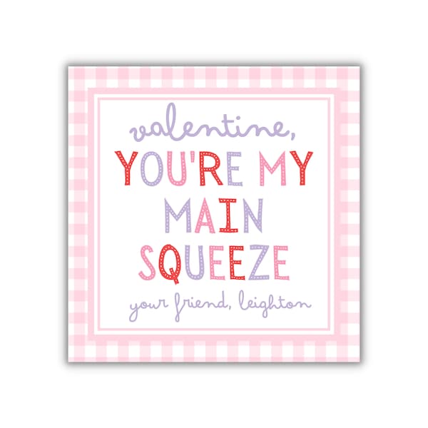 Printable Valentines Day Card for Kids Valentine Tags, You're My Main Squeeze, Apple Sauce Pouch, Favor Tag, Classroom Treats pink gingham