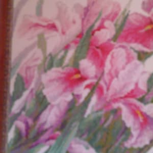 May include: A close-up of a cross-stitch embroidery depicting pink irises with green leaves. The flowers are in bloom and the leaves are arranged in a fan shape.
