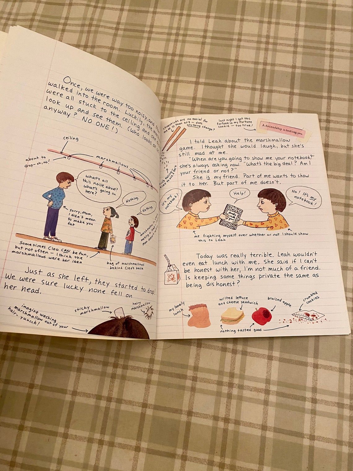 Amelia Writes Again by Marissa Moss
