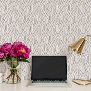 Op Art Line 3D Cubes Wall Covering | Neutral | Peel and Stick or Unpasted Wallpaper Mural | Non-toxic