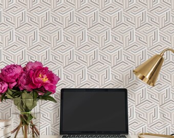 Op Art Line 3D Cubes Wall Covering | Neutral | Peel and Stick or Unpasted Wallpaper Mural | Non-toxic