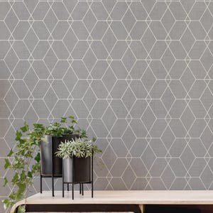May include: A gray geometric wallpaper with a repeating white diamond pattern. Two black metal planters with greenery sit on a wooden cabinet. The cabinet has a woven front and a shelf with books.