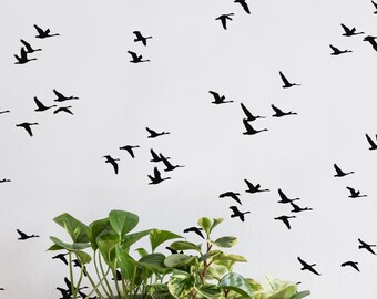 May include: A wall decal set featuring numerous black silhouettes of birds in flight scattered across a white surface. Three potted plants sit on a light-colored wooden surface in front of the wall, including two green leafy plants and one small air plant in a white textured container.