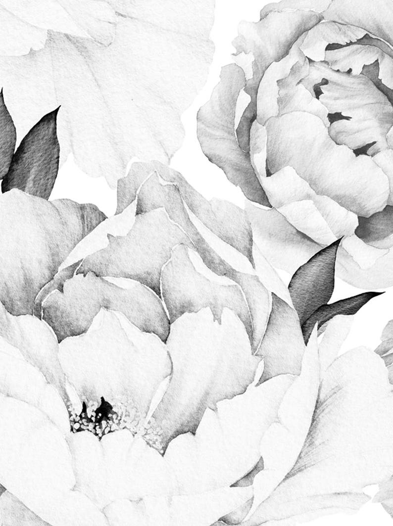 Peony Flower Mural Wallpaper, Black and White, Watercolor Peony Extra Large Wall Art, Peel and Stick Wall Mural image 5