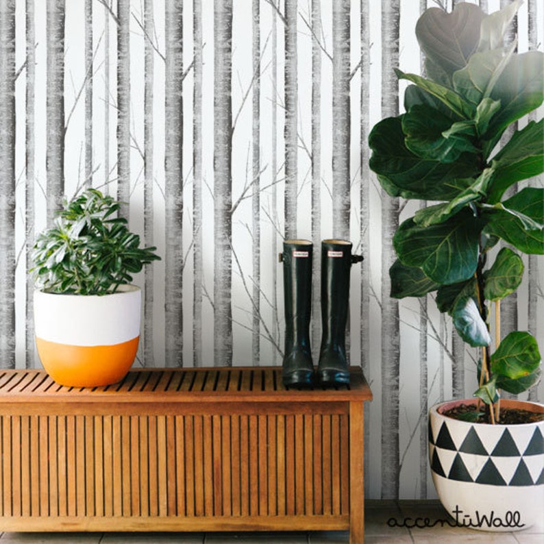 Birch Tree Wallpaper Removable Peel & Stick Fabric Wallpaper Etsy