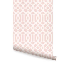 Moderne Rankgitter Wandverkleidung | Rosa und Hellrosa | Abziehen oder aufkleben Tapete | Ungiftig