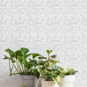 May include: Three potted plants with green leaves on a wooden table with a drawer. The plants are in white and gray pots. The background is a white wall with a black grid pattern.