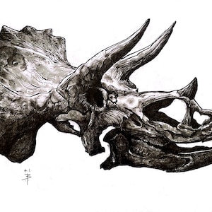 Triceratops Skull Print by YoltonsArt