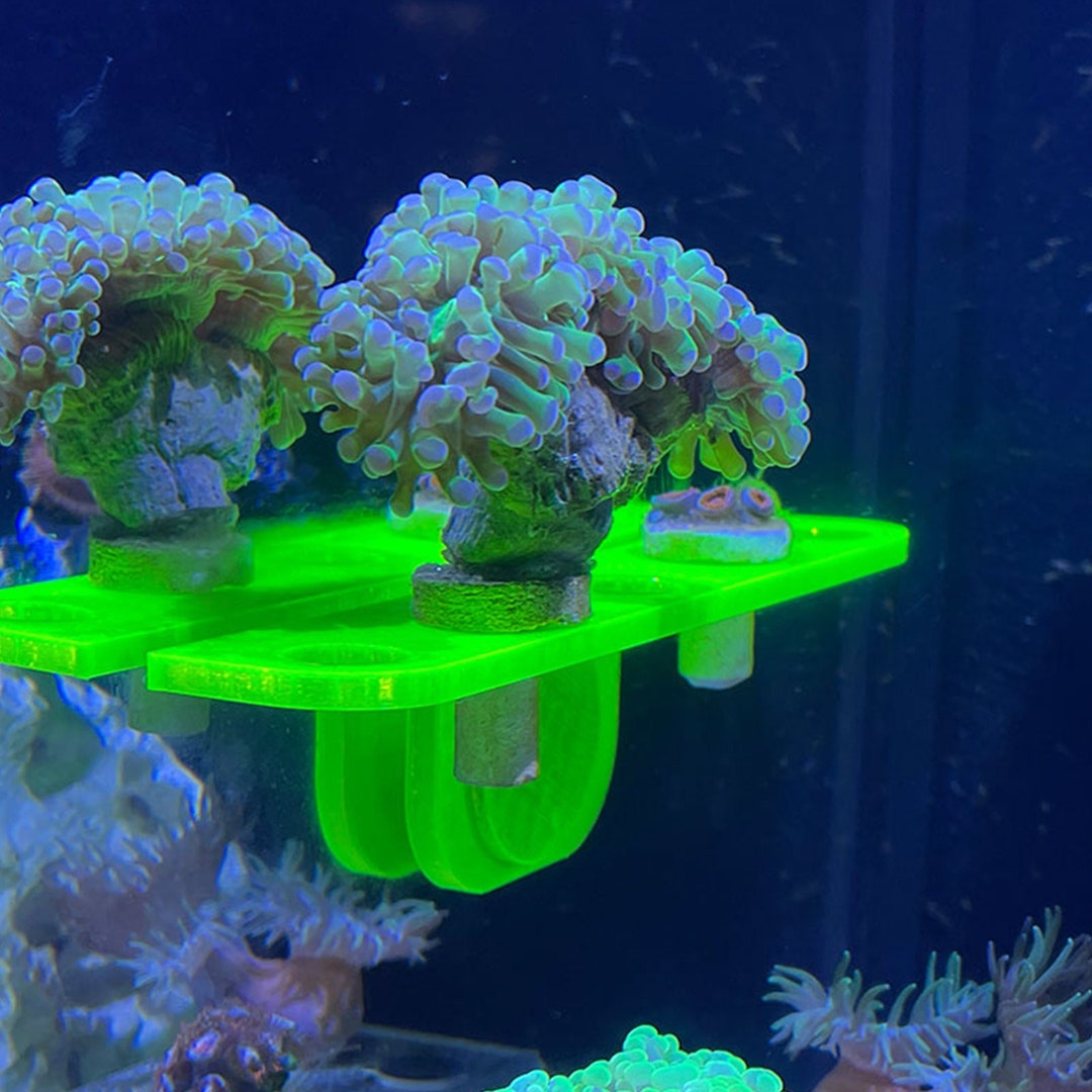 Narrow Coral Frag Racks 3d Printed in Petg great for Smaller