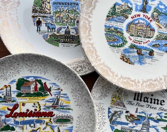 Plaques d'immatriculation des États : Trouvez la vôtre : New York, Louisiane, Minnesota, Maine