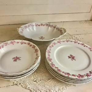 Vintage Limoges Dishes Set Plates Bowls Serving Bowl