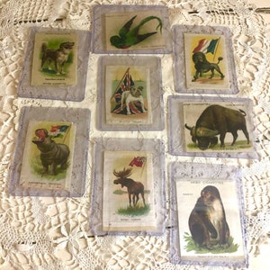 Antique Tobacco Silks Animal Lot Cigarette lot 6
